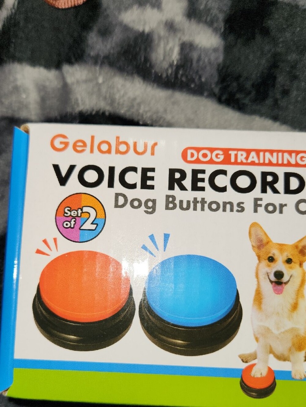 Voice Recording Dog Buttons - Orange & Blue - Set of 2 - Picture 2 of 6